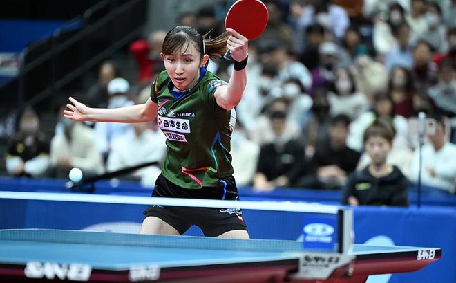 选中蔡恩 选中蔡恩